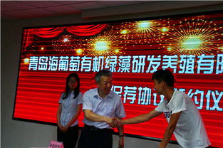 千帆蓄勢(shì)，藍(lán)海啟航 2024年科技金融合作發(fā)布會(huì)暨科技中介服務(wù)創(chuàng)新論壇紀(jì)實(shí)